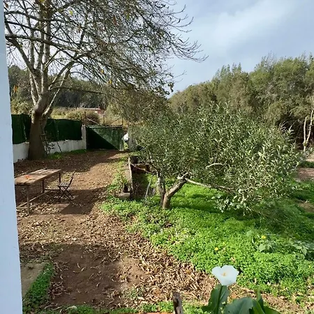 Eco Farm Maday * Santa Cruz de Tenerife