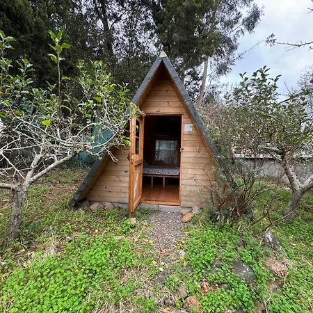 Eco Farm Maday Casa de Férias Santa Cruz de Tenerife