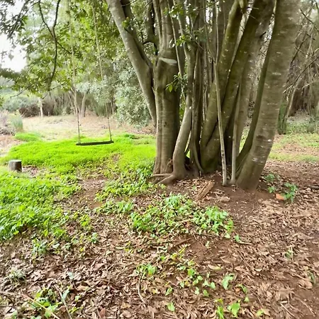 Eco Farm Maday *