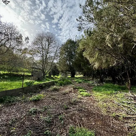 Eco Farm Maday Santa Cruz de Tenerife